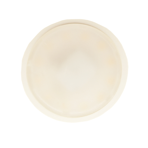 GU10 Spot met daglicht/schemersensor 