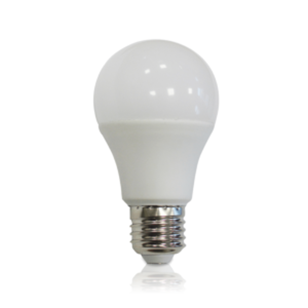 LED Lamp E27 11W Verhuislamp 6500k