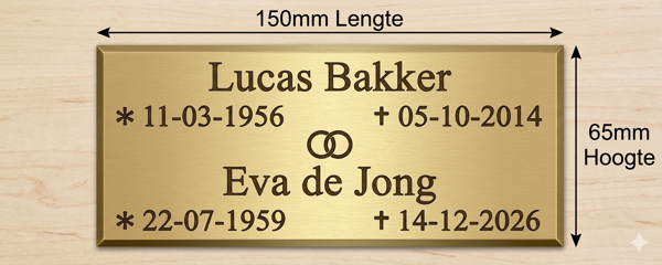 Layout 3.9