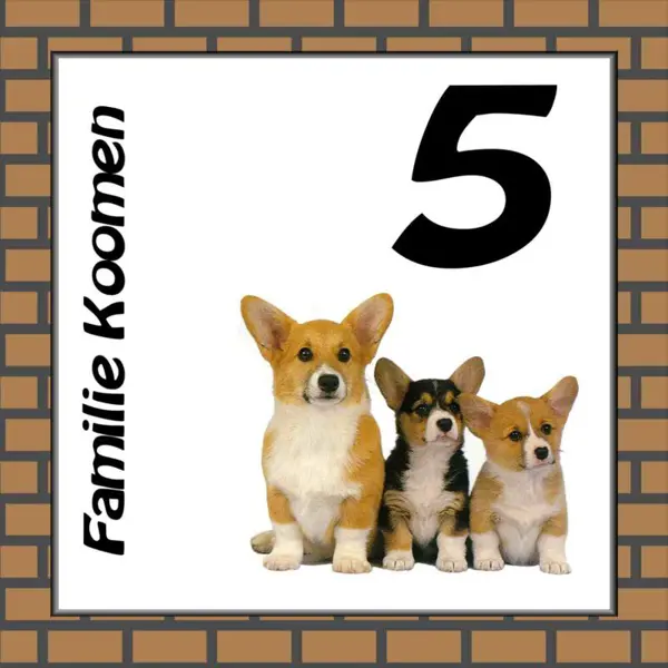 Honden 09