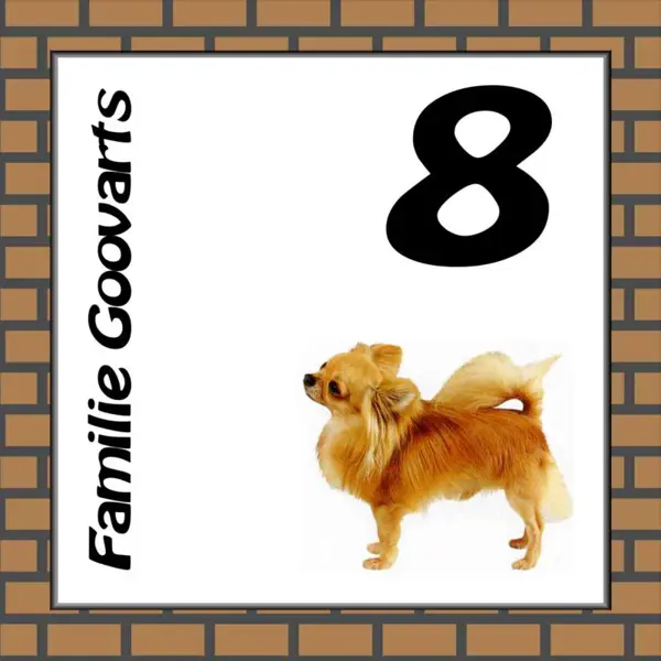 Honden 10