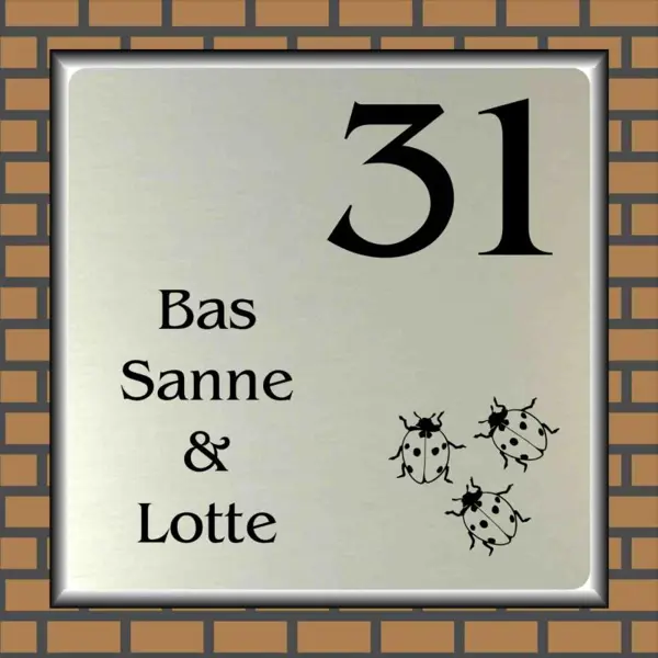 Lieveheersbeestjes 14
