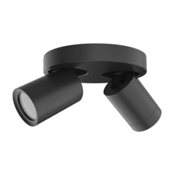 PLAFONDARMATUUR LOCASTE VOOR 2X GU10