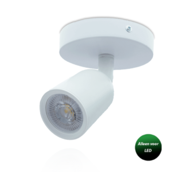 PLAFONDARMATUUR LOCASTE VOOR 1X GU10 Wit
